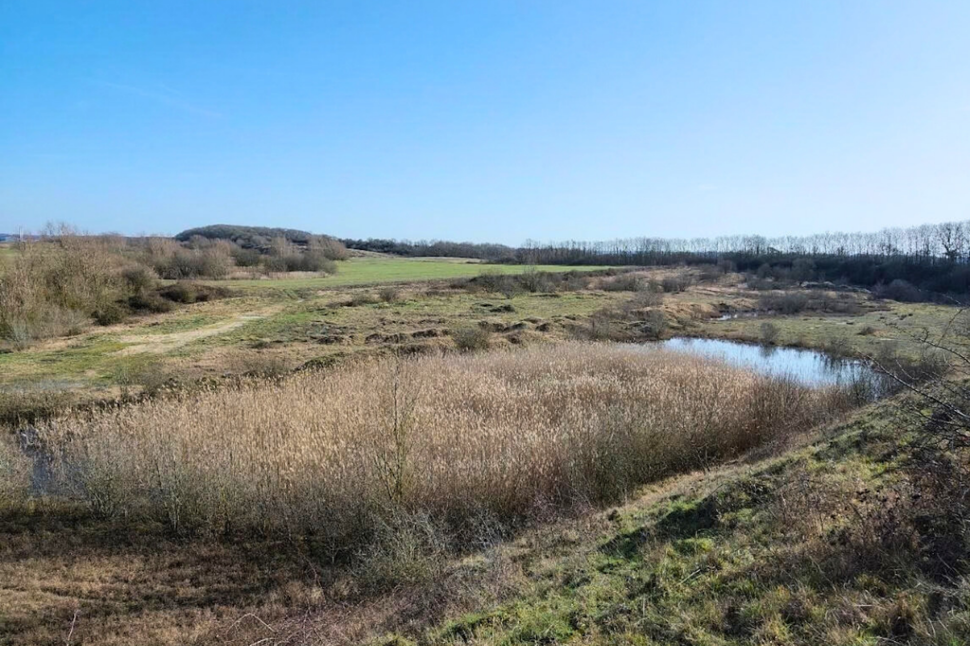 Mason’s Quarry featuring Open Habitat Mosaic featuring standing water bodies and grassland.